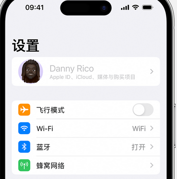 徐汇appleID维修服务iPhone设置中Apple ID显示为灰色无法使用 