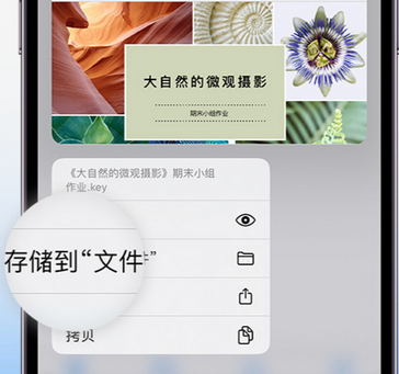 徐汇apple维修中心分享iPhone文件应用中存储和找到下载文件