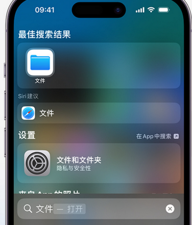 徐汇apple维修中心分享iPhone文件应用中存储和找到下载文件 