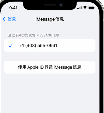 徐汇apple维修iPhone上无法正常发送iMessage信息 