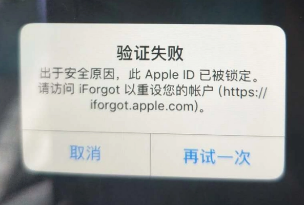 徐汇iPhone维修分享iPhone上正常登录或使用AppleID怎么办 