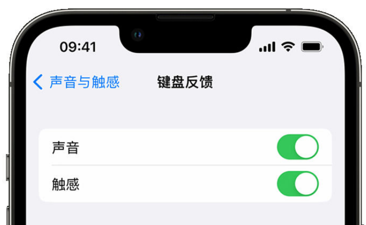 徐汇苹果手机维修分享iPhone 14触感键盘使用方法 