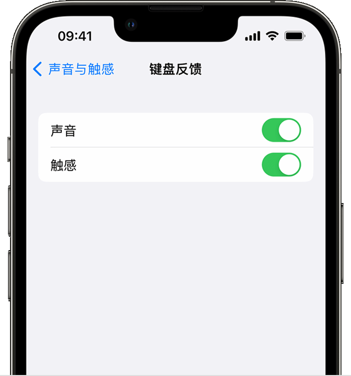 徐汇苹果14维修店分享如何在 iPhone 14 机型中使用触感键盘 