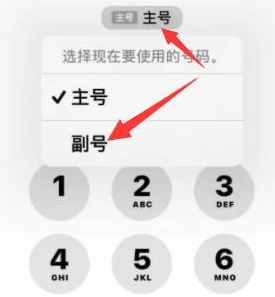 徐汇苹果14维修店分享iPhone 14 Pro Max使用副卡打电话的方法 