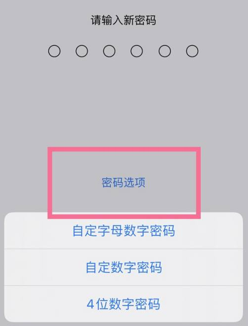 徐汇苹果14维修分享iPhone 14plus设置密码的方法 