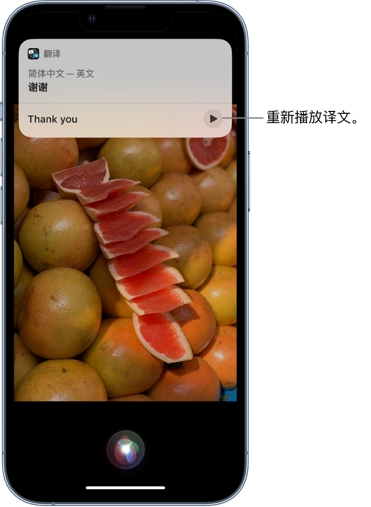 徐汇苹果14维修分享 iPhone 14 机型中使用 Siri：了解 Siri 能帮你做什么 