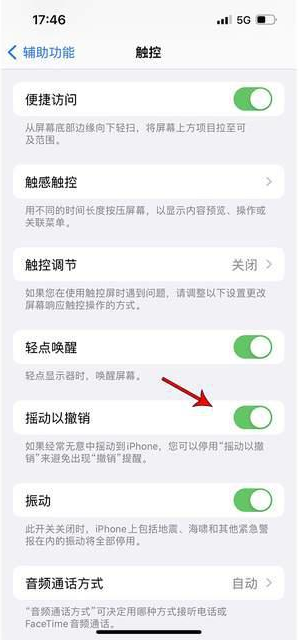 徐汇苹果手机维修分享iPhone手机如何设置摇一摇删除文字 