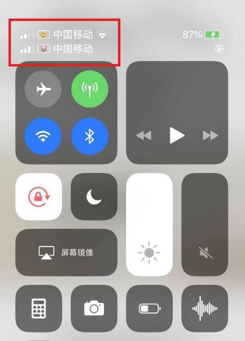 徐汇苹果手机维修分享为 iPhone 12 双卡设置标签 