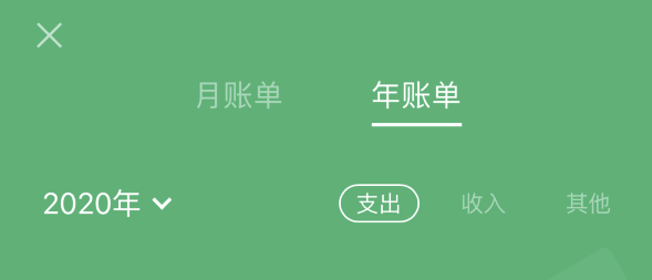 徐汇苹果手机维修分享如何在 iPhone 上查看支付宝和微信年支出账单 